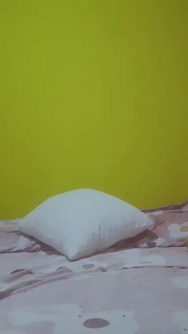 Ariana L