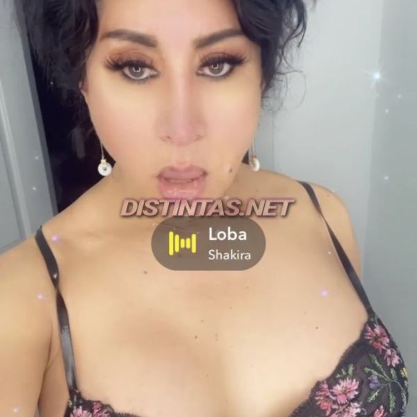Escorts Trans Sexy ts Rosemary  in Chicago