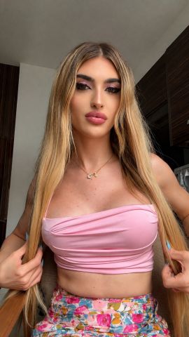 Rosa Trans Activa