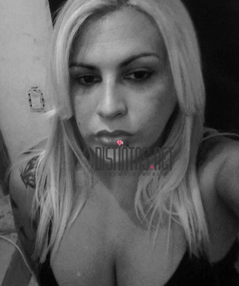 Majo Trans