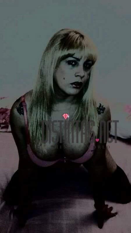 Majo Trans