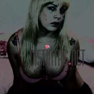 Majo Trans