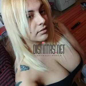 Majo Trans