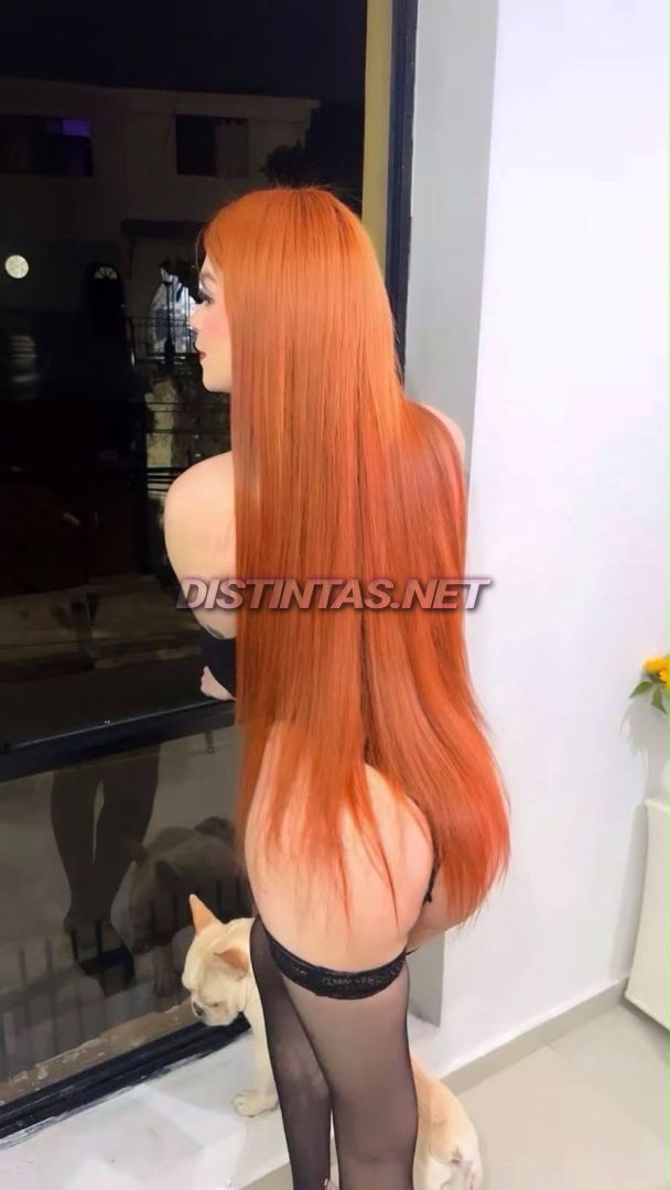 Sofía Sthefania
