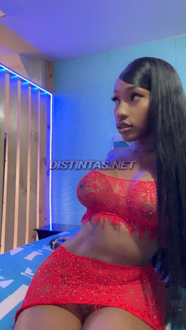 Maya Panther