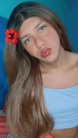 Sofia ts mende