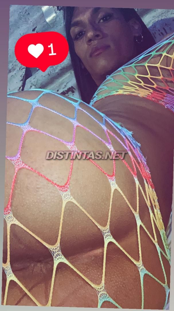 Daniii 