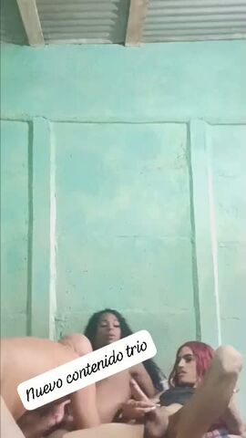 Wendolin