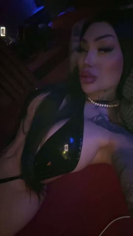 Pantera larty 