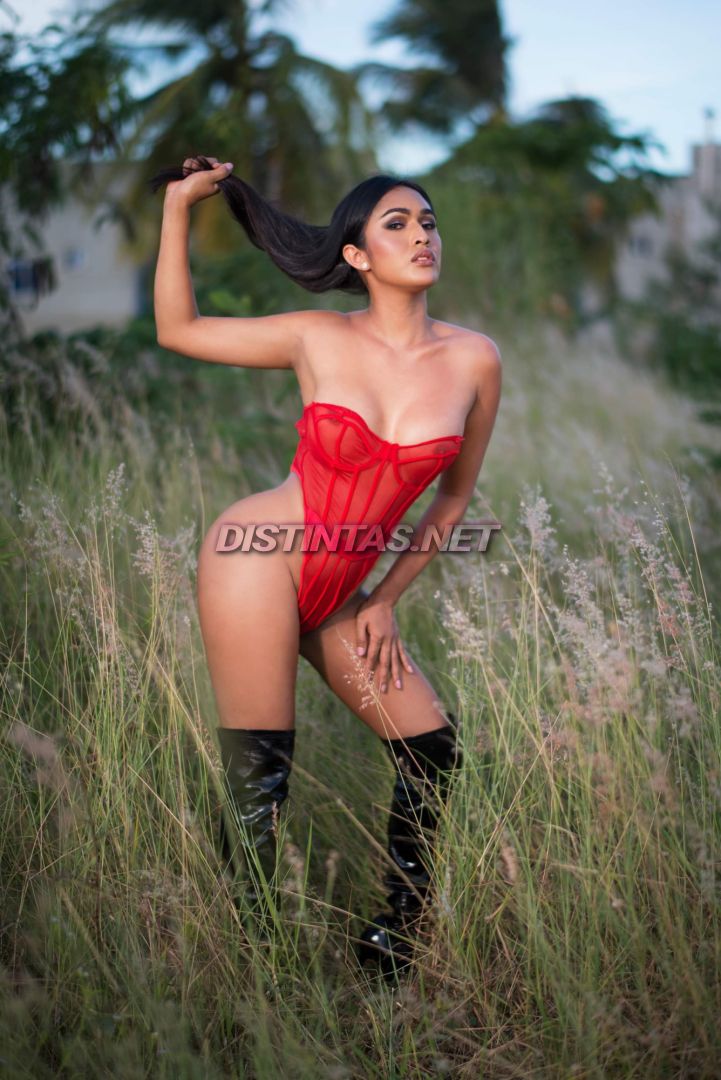 Exotic Maya