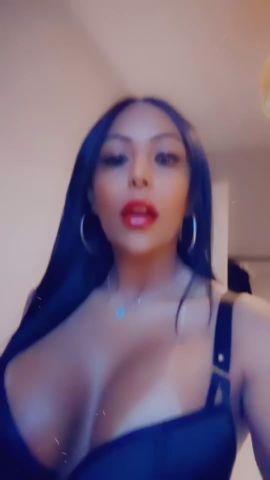 Trans nycolle
