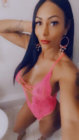 Trans nycolle