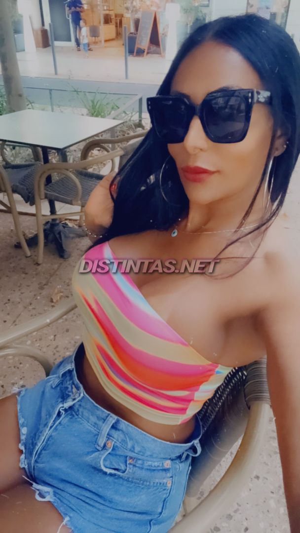 Trans nycolle