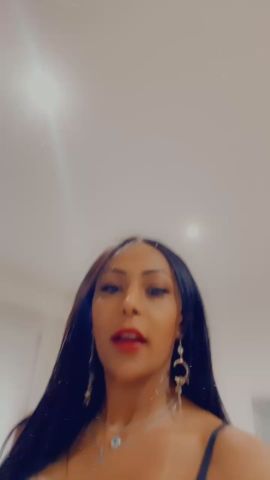 Trans nycolle