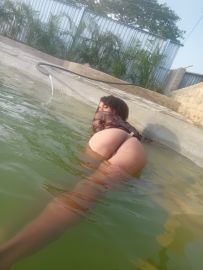 Ivett