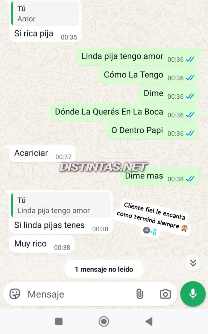 Anto Nahir 