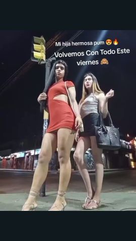 Anto Nahir 