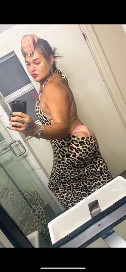 Valentina fogosa 
