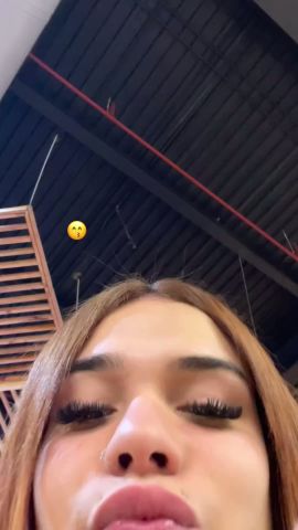 Alice Suárez 