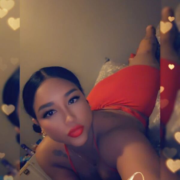 Luz fox