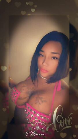Luz fox