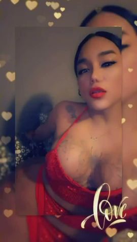 Luz fox