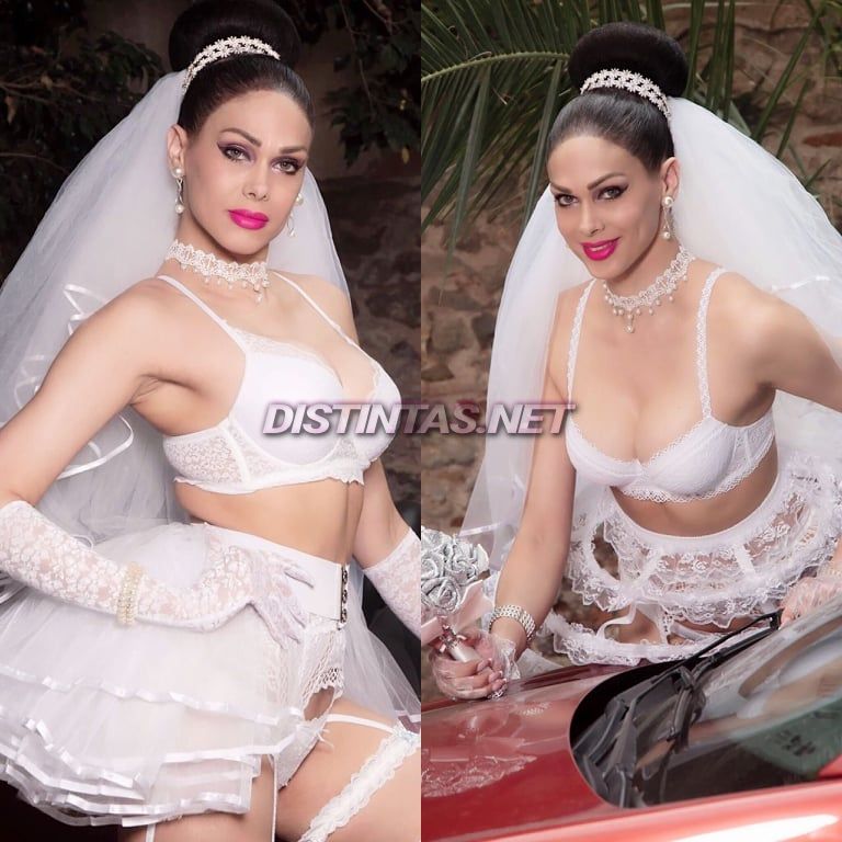 Señorita T