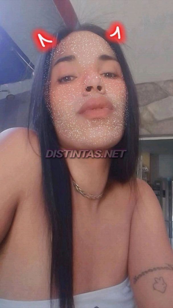 Ana Trans
