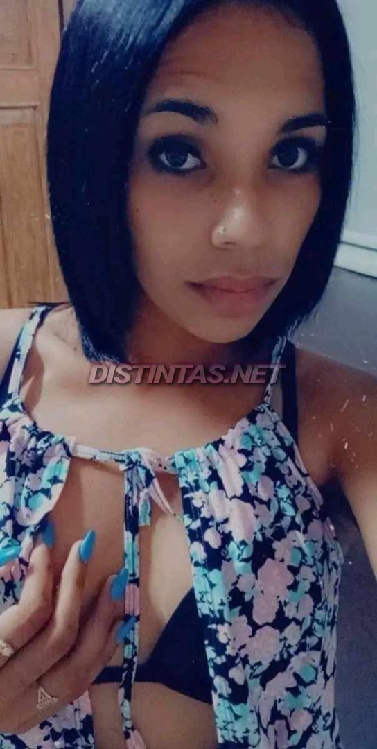 Ana Trans