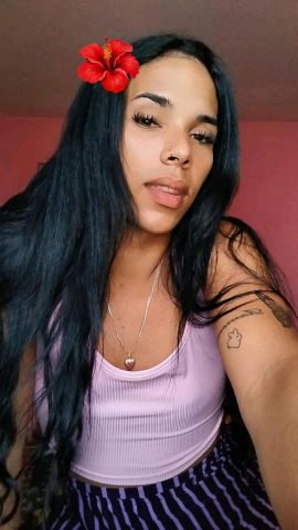 Ana Trans