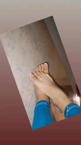 Kendall os 