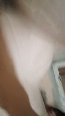 Adita 