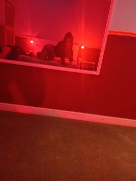 Luly O