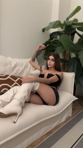 Doll