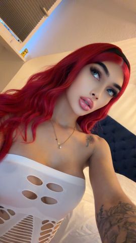 Doll