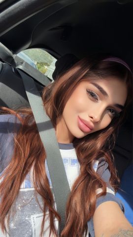 Doll