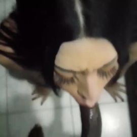 Dannita 