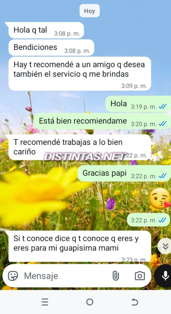 Dannita 