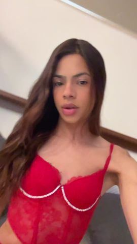 Stella 