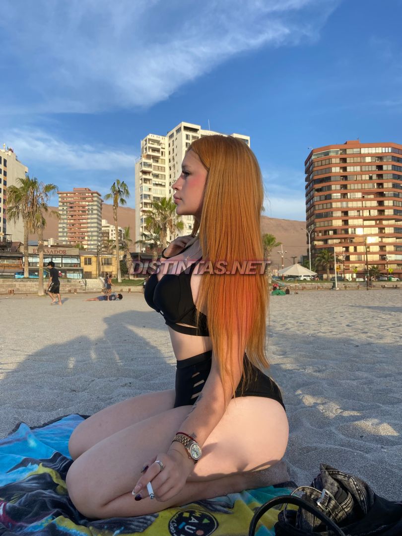 Sophie Roses