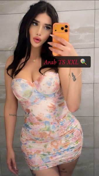 Available for video calls to make sure that im like the profile picture 👌🕊️🧜🏻‍♀️
PS : ميزني عن الغير او اعتزلني 
Hello im arab ts here for visit contact me on whats app for more details .. 
I can travel wherever you want !! 

🦋 I can be Super TOP with a huge dick 20 cm !! VERS ( BOTH ) or Bottom 
🦋Classy and gentlemen only welcomed 
🦋I do couples 
 ✍🏻✍🏻 : Dont ask about my 🍆 because if I fuck you you will not be able tu use ur O for a week 
هلا و غلا انا شيميله عربيه موجوده هنا لمده محدوده انا زياره في اسطنبول 
الجاد و الراقي حياه (  عمه ع كيف كيفك ) اقدر اكون توب  بوتوم او مبادل 
Ps : 
لا تسالني بعد زبي شغال او لا لاني اذا ركبتك اخلي طيزك ما تقدر تستعملها لاسبوع 
اقدر  اسافر جميع الدول
