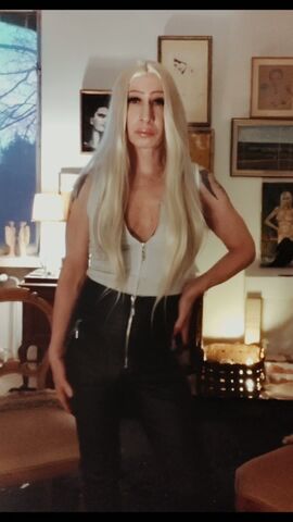 Trans-Sylvia