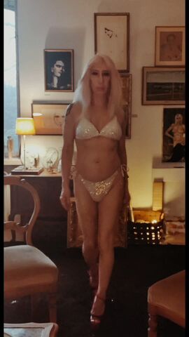 Trans-Sylvia