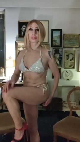 Trans-Sylvia