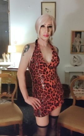 Trans-Sylvia