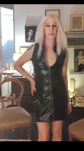 Trans-Sylvia