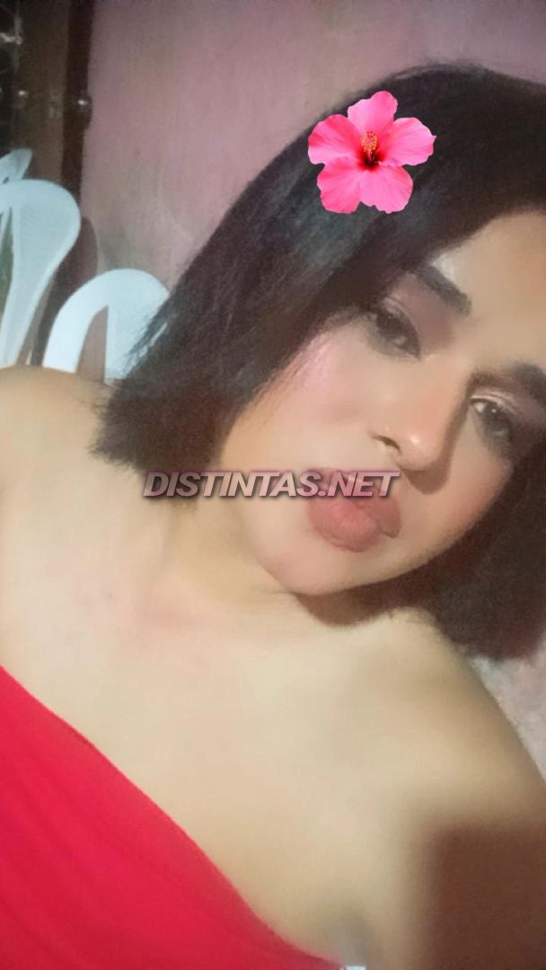 Maria estefany
