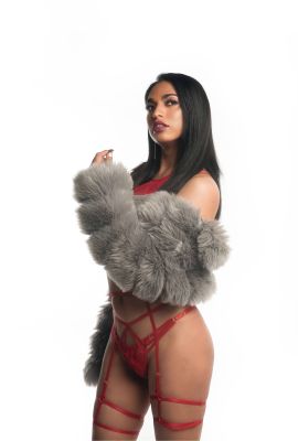 AMBER FOX