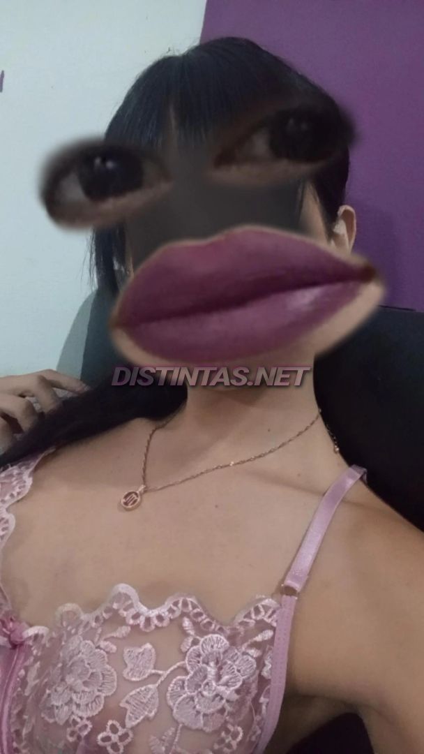 Brisa Pendex