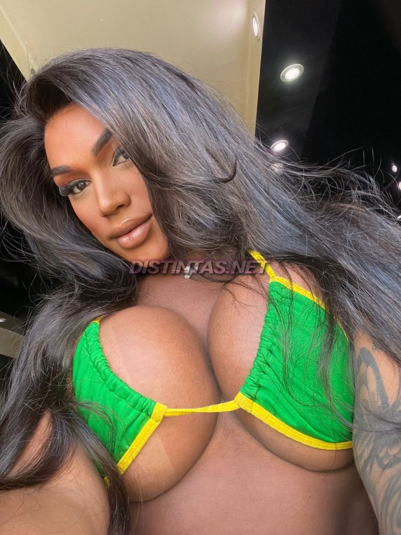 Ts anaconda xxl